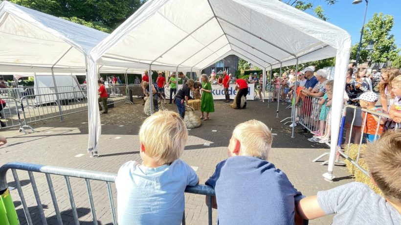 Het Bonte Schaapfestival in Rheden Foto: Martin Slijper