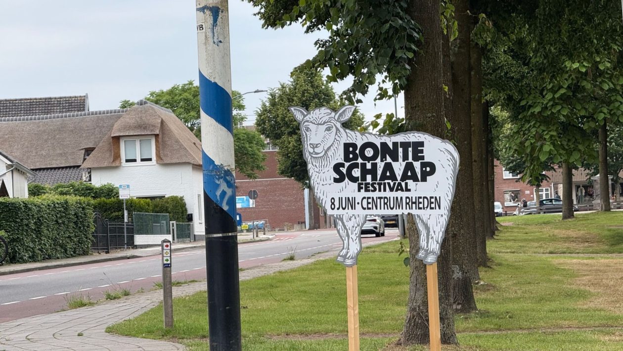Bonte Schaap Festival in Rheden Foto: Martin Slijper
