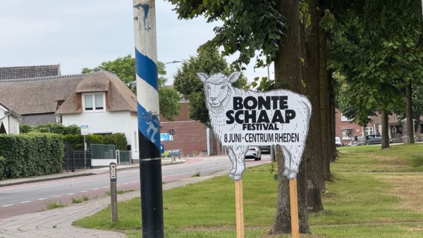 Bonte Schaap Festival in Rheden Foto: Martin Slijper