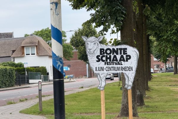 Bonte Schaap Festival in Rheden Foto: Martin Slijper
