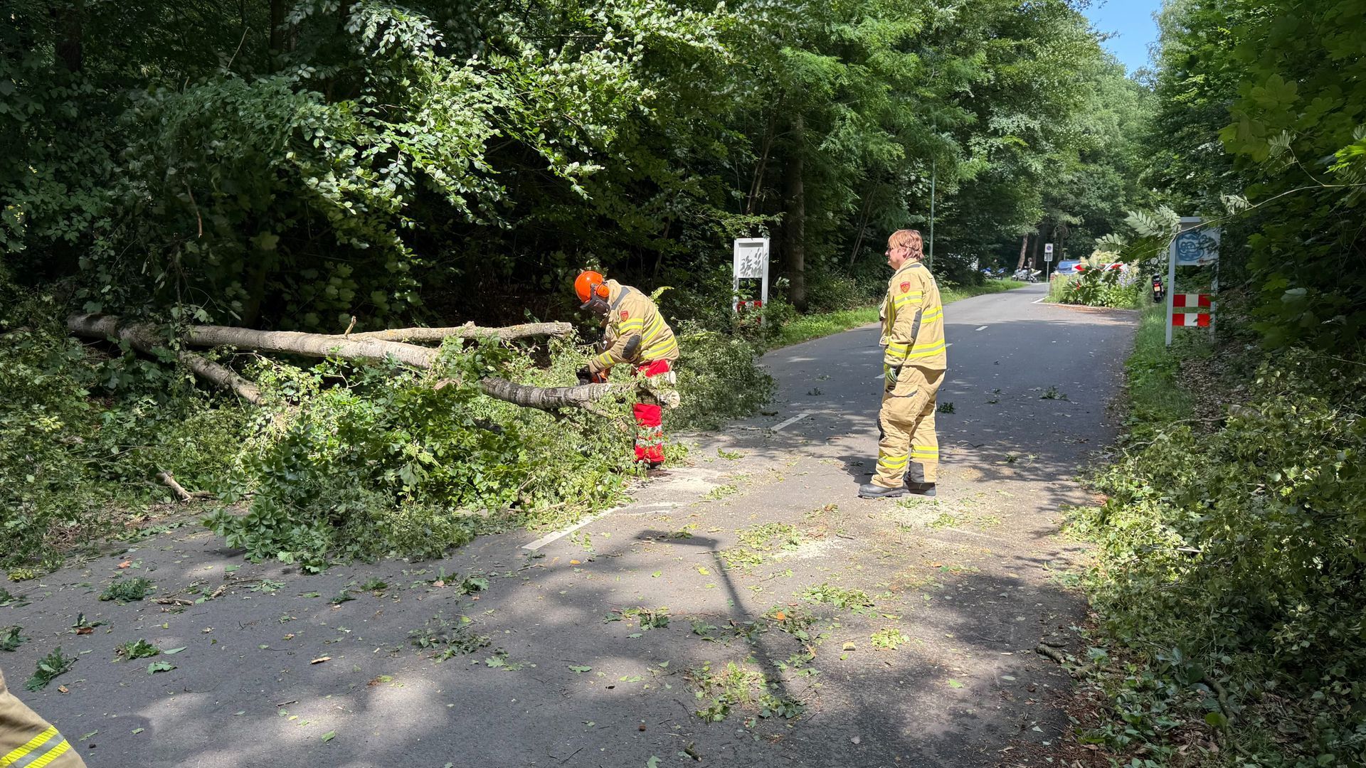 Boom valt om en zorgt voor hinder op Beekhuizenseweg