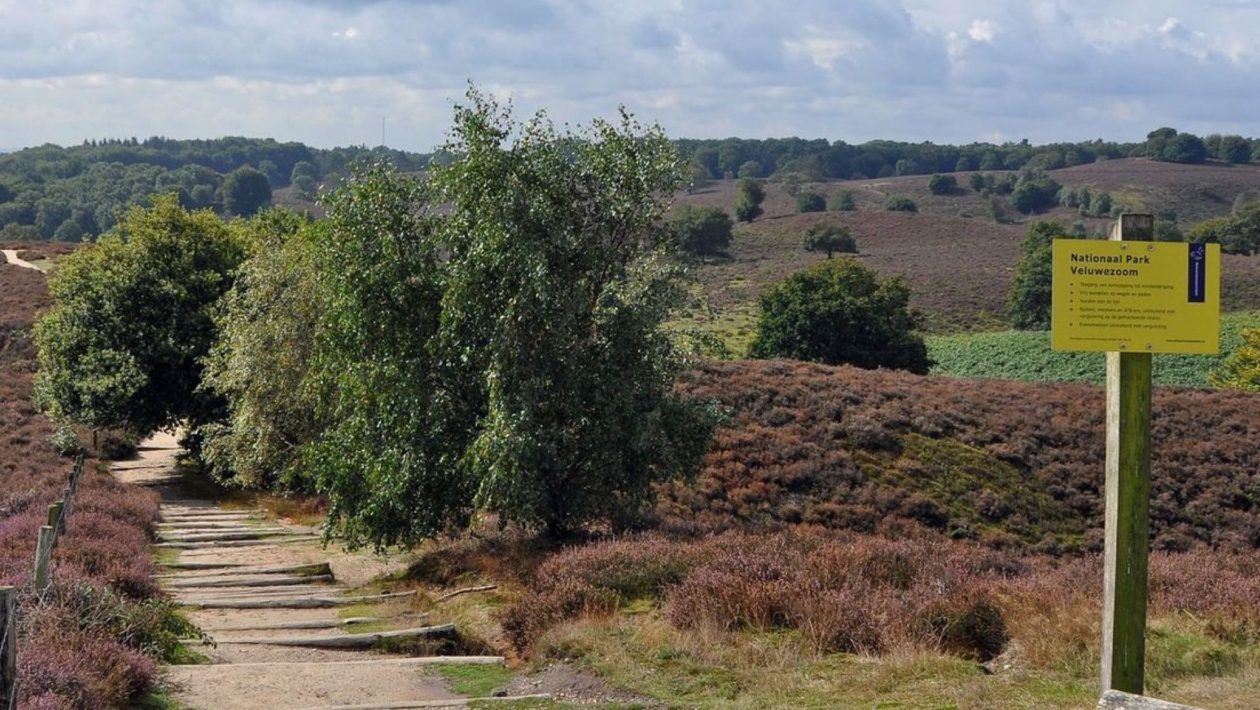 Nationaal Park Veluwezoom