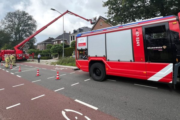 Brandweer rukt uit voor dier op hoogte Foto: Studio Rheden