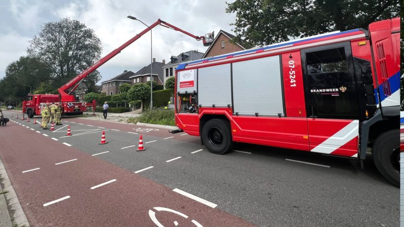 Brandweer rukt uit voor dier op hoogte Foto: Studio Rheden
