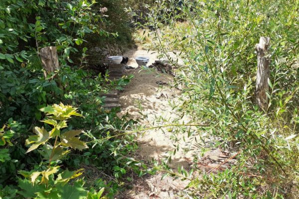 Zoomtuinen in Rheden Foto: IVN Oost-Veluwezoom