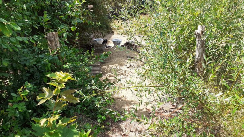 Zoomtuinen in Rheden Foto: IVN Oost-Veluwezoom