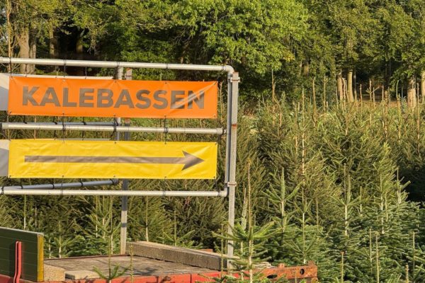 Kalebassen en pompoenen liggen weer langs de weg in Rheden Foto: Martin Slijper