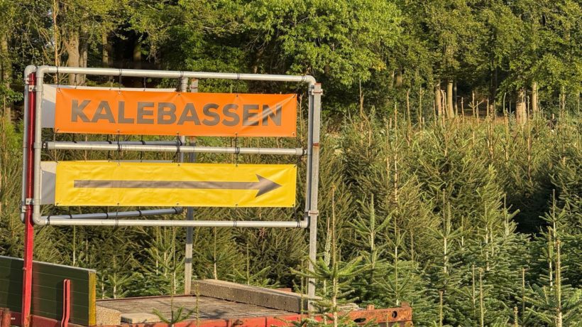 Kalebassen en pompoenen liggen weer langs de weg in Rheden Foto: Martin Slijper