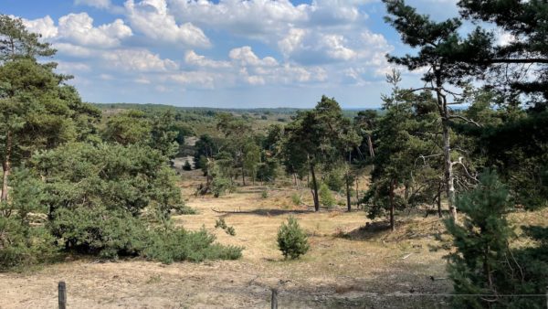 Stuifzand op de Veluwe Foto: Studio Rheden