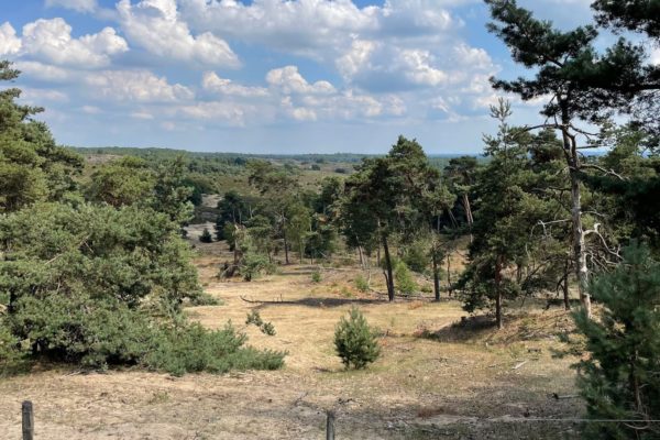 Stuifzand op de Veluwe Foto: Studio Rheden
