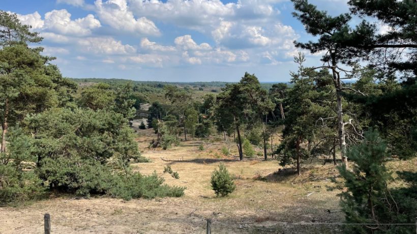 Stuifzand op de Veluwe Foto: Studio Rheden
