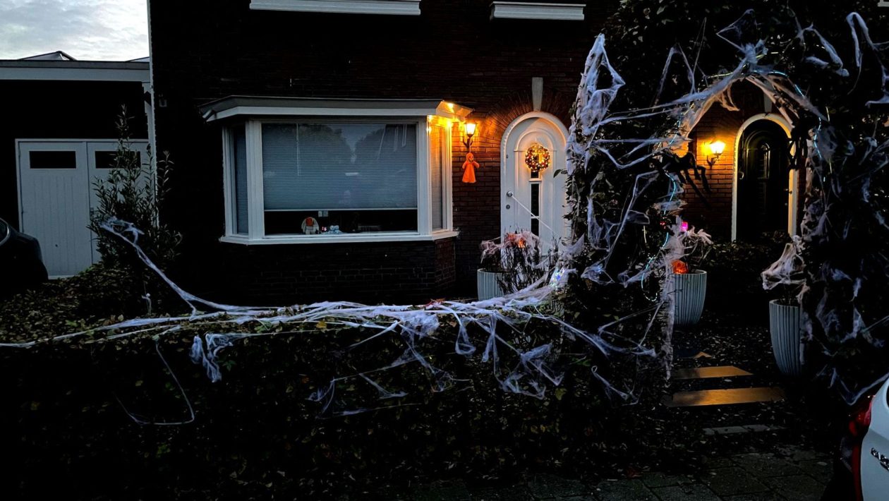 Veel kinderen in Rheden vieren Halloween Foto: Martin Slijper