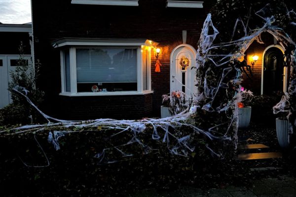 Veel kinderen in Rheden vieren Halloween Foto: Martin Slijper