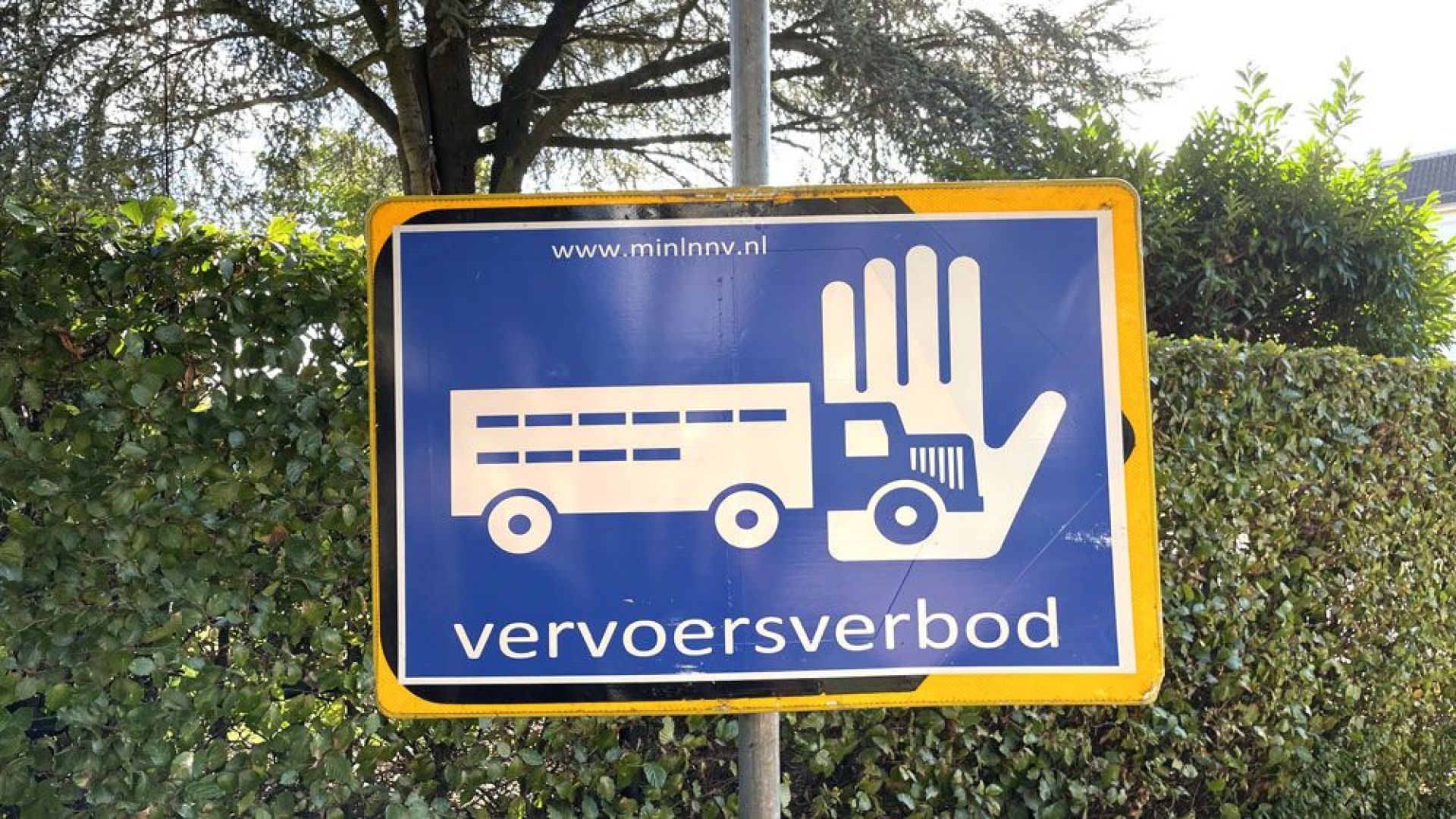 Strenge maatregelen door vogelgriep in regio