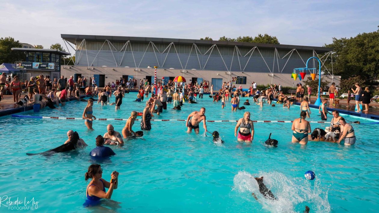 Honden mogen twee uur lang gratis zwemmen in Openluchtbad Rheden Foto: Rob de Lelij