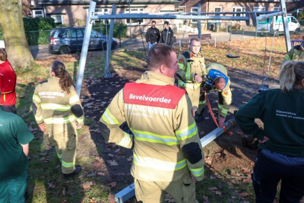 Brandweer redt vastzittende vogel uit speeltoestel in Velp Foto: Persbureau Heitink