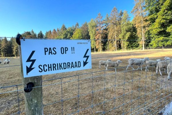 Wolven komen ook op de Posbank Foto: Studio Rheden