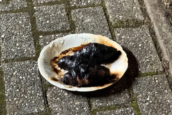 Kleine brand in appartement zorgt voor veel opschudding Foto: Martin Slijper