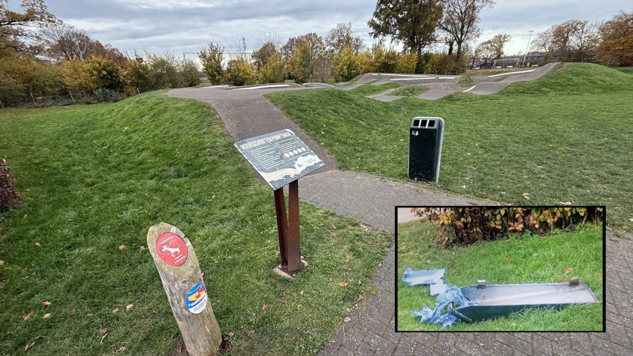 Vuilnisbak opgeblazen bij kanovijver Rheden Foto: Martin Slijper