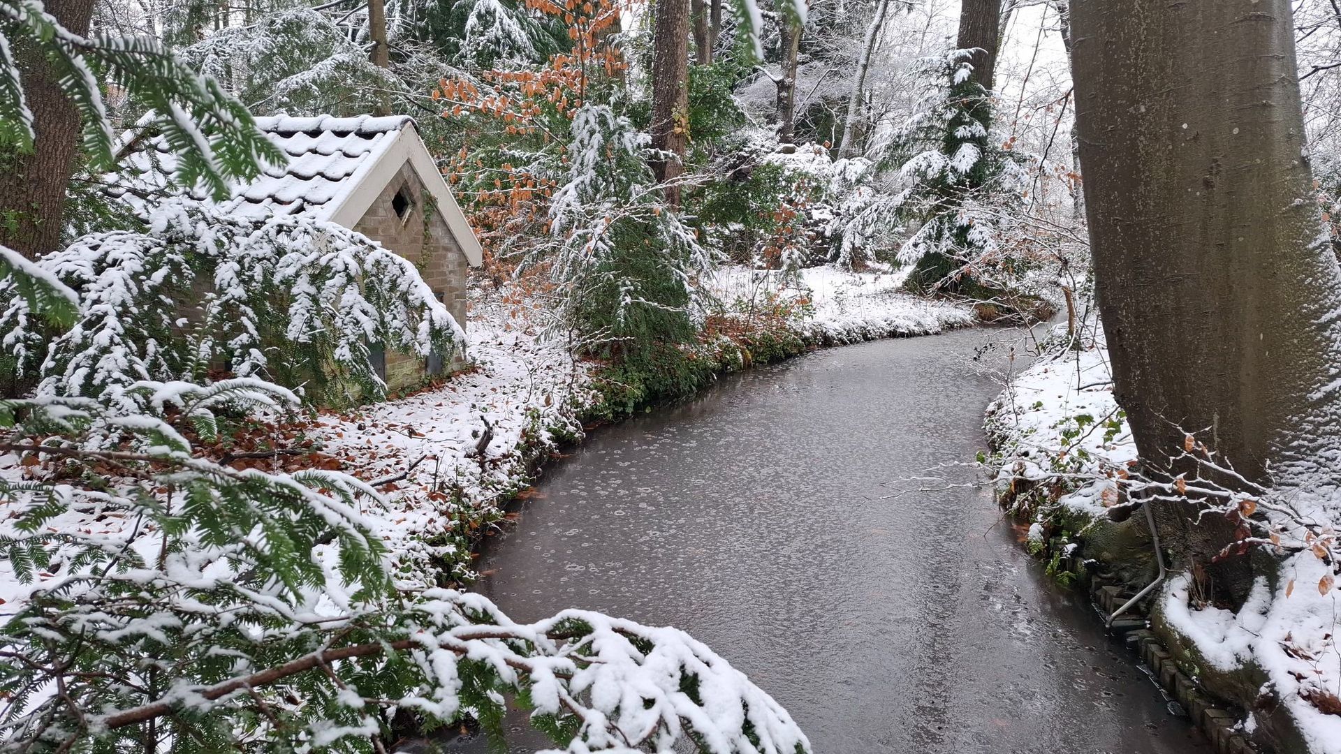 Winterse beelden uit gemeente Rheden: publiek kiest mooiste sneeuwfoto