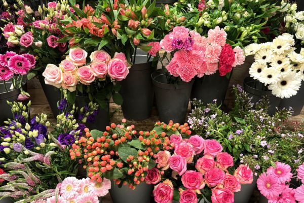 Rheden besteedt 18.500 euro aan duurzame bloemen Foto: Martin Slijper