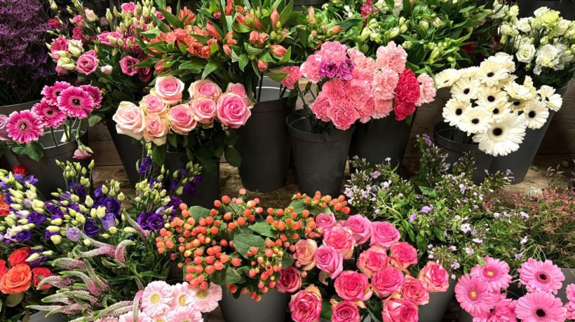 Rheden besteedt 18.500 euro aan duurzame bloemen Foto: Martin Slijper