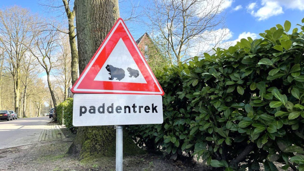 Paddentrek Foto: Martin Slijper