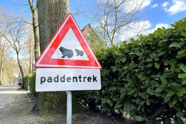 Paddentrek Foto: Martin Slijper