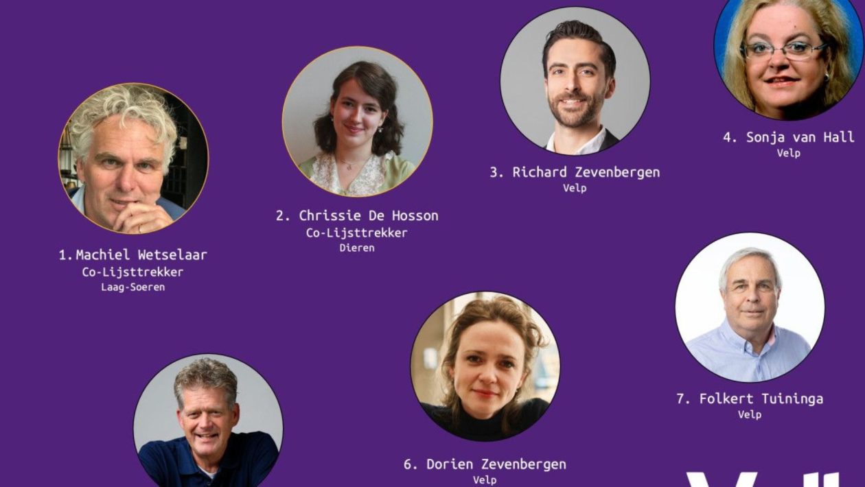 Volt Rheden maakt kandidatenlijst Foto: Volt Rheden