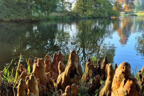 Park Hof te Dieren Foto: IVN Oost-Veluwezoom