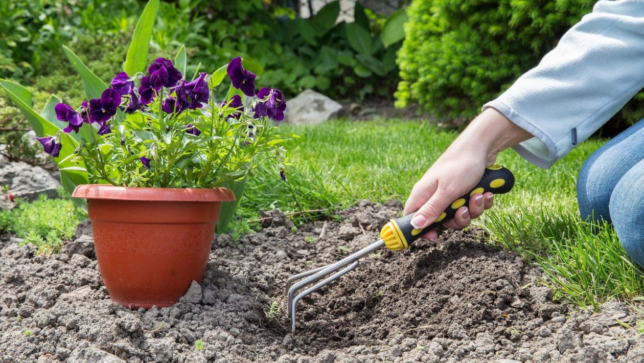 Tuin ter illustratie Foto: Pixabay