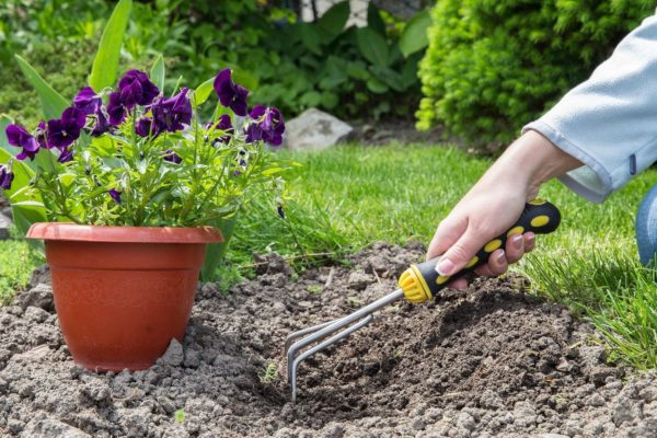 Tuin ter illustratie Foto: Pixabay