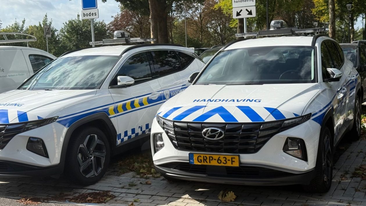 Twee elektrische boa auto’s Foto: Martin Slijper