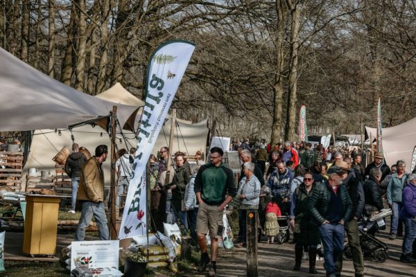 Inspiratie voor moestuinliefhebbers in De Steeg Foto: Tess Korevaar Fotografie
