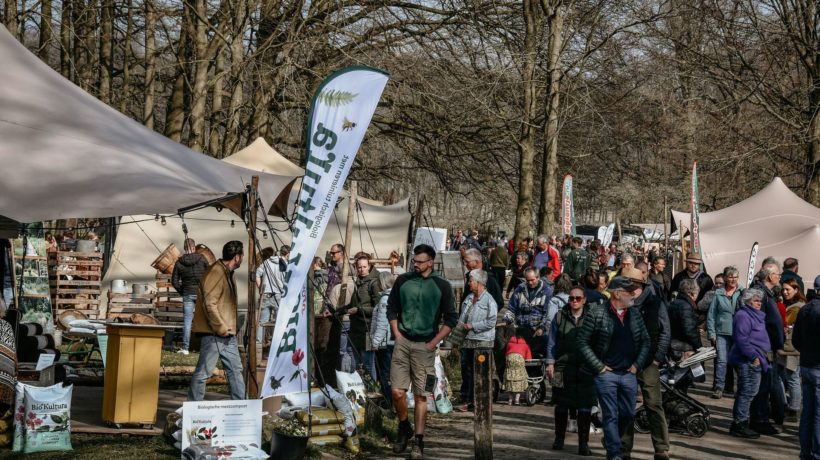 Inspiratie voor moestuinliefhebbers in De Steeg Foto: Tess Korevaar Fotografie