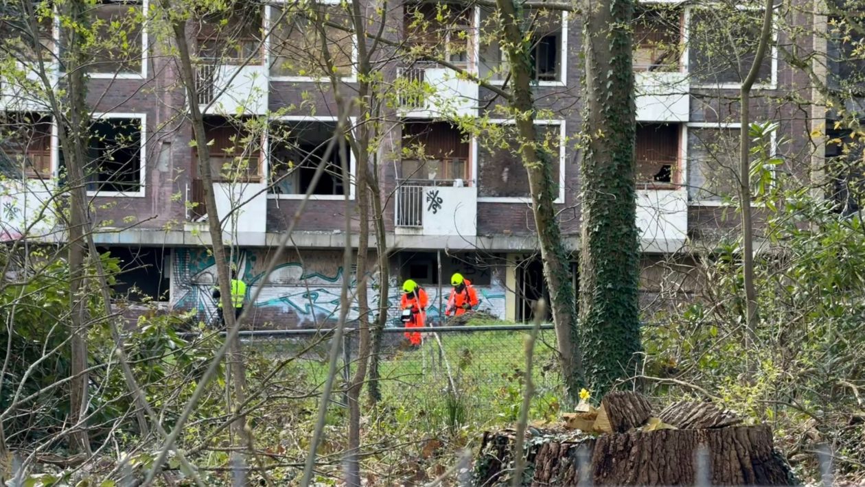 Hulpdiensten bij Rhederhof Foto: Martin Slijper