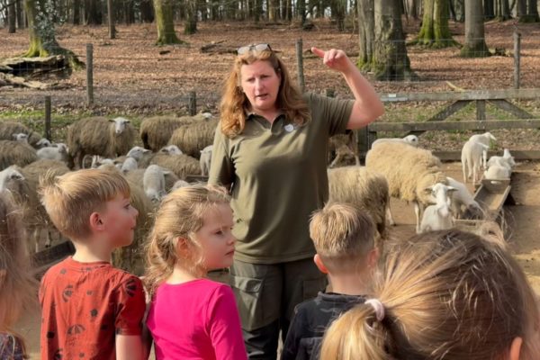 Basisschool adopteert eerste lammetje bij de schaapskooi in Rheden Foto: Martin Slijper