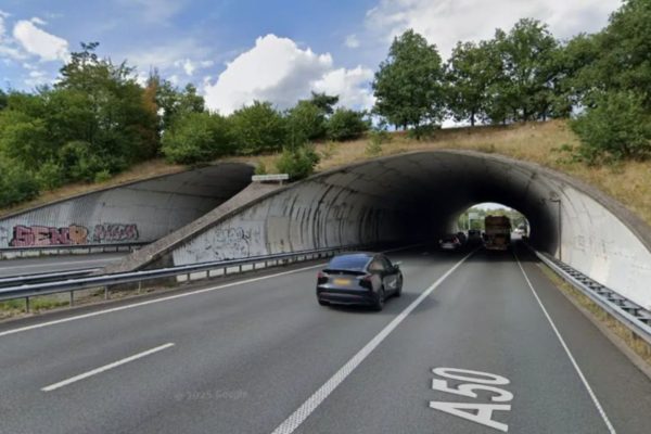 Het ecoduct Woeste Hoeve. Foto: Google Maps