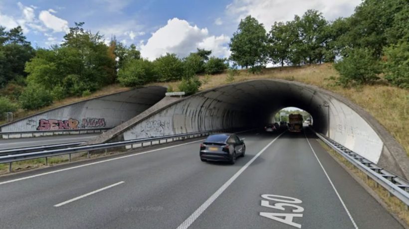 Het ecoduct Woeste Hoeve. Foto: Google Maps