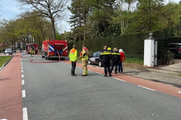 Grote coniferenhaag in lichterlaaie Foto: Studio Rheden