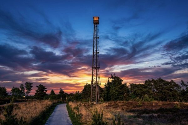 Brandtoren op het Rozendaalse Veld Foto: Martin Slijper