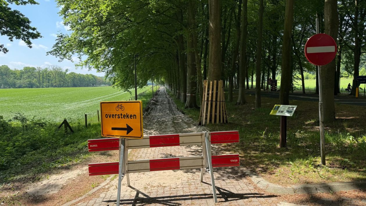 Fietspad tussen De Steeg en Ellecom Foto: Martin Slijper
