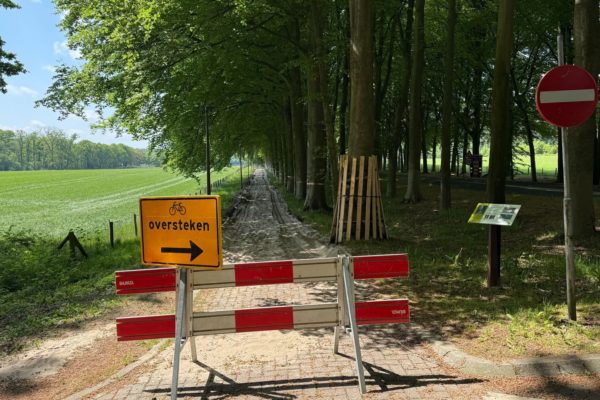Fietspad tussen De Steeg en Ellecom Foto: Martin Slijper