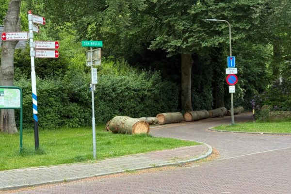 Boomstammen in Velp zorgen voor verbazing Foto: Martin Slijper