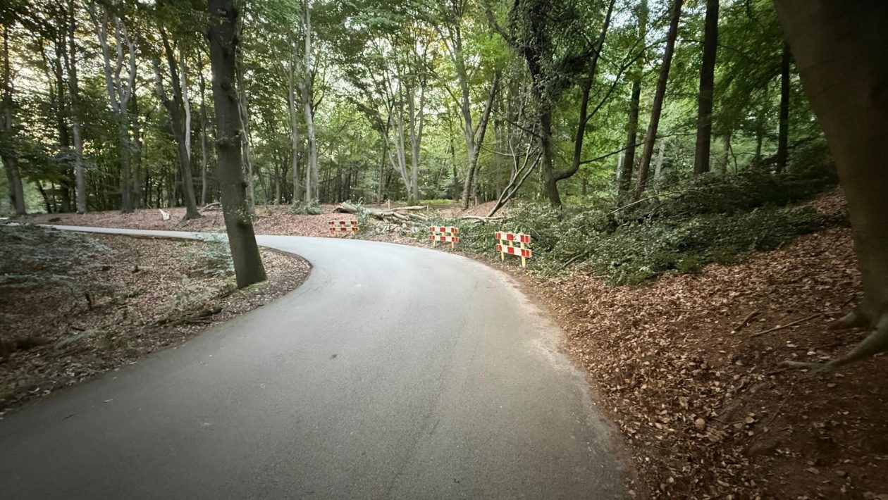 Stormschade Foto: Martin Slijper