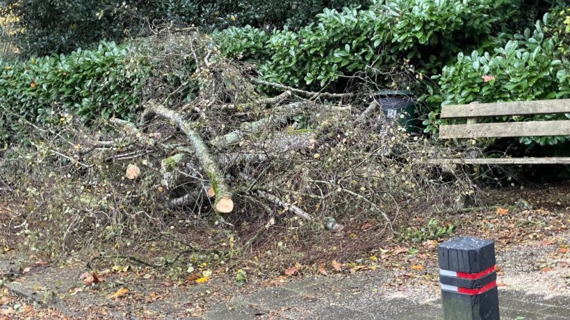 Stormschade Foto: Martin Slijper