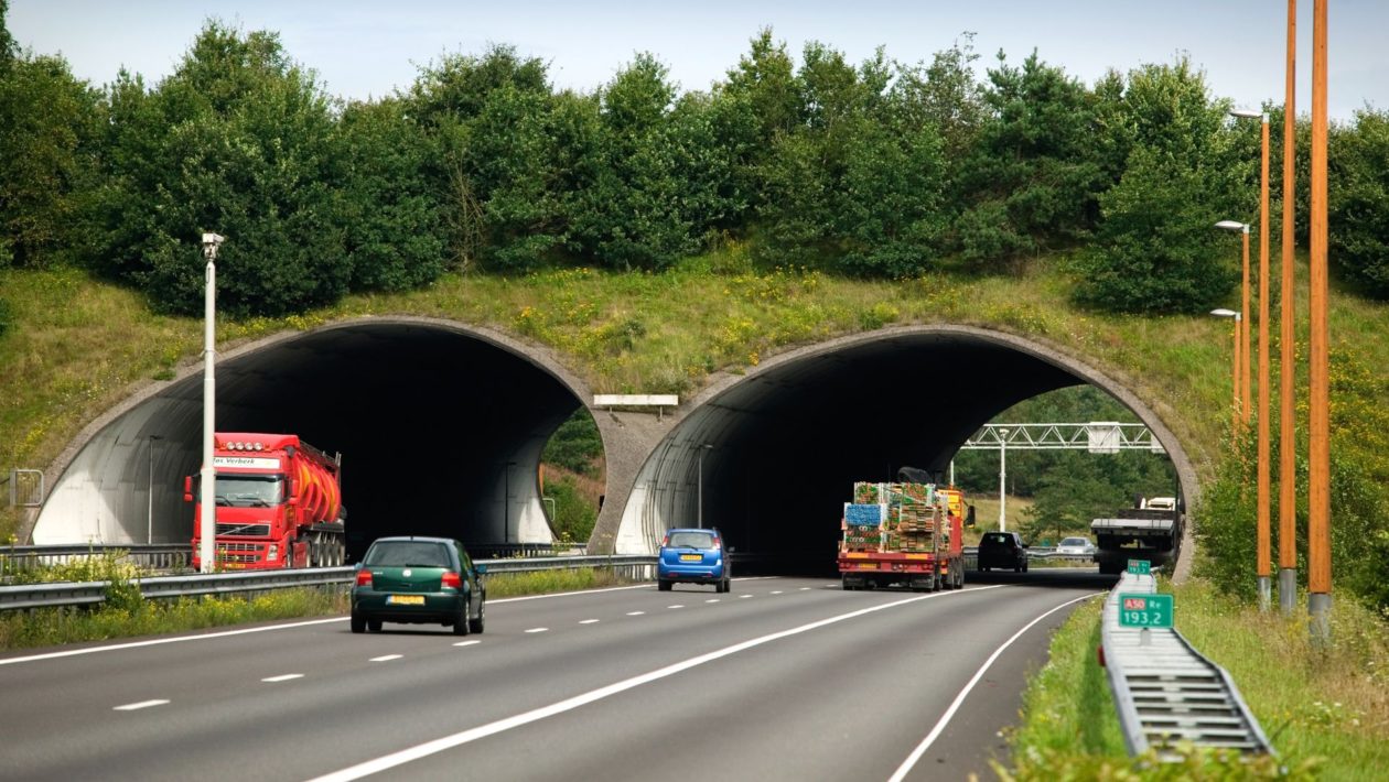 Het ecoduct Woeste Hoeve. Foto: Rijkswaterstaat