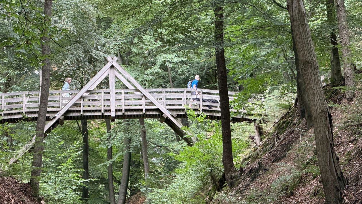 Houten brug over Holleweg in Rheden wordt vervangen Foto: Martin Slijper