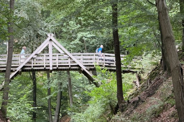 Houten brug over Holleweg in Rheden wordt vervangen Foto: Martin Slijper