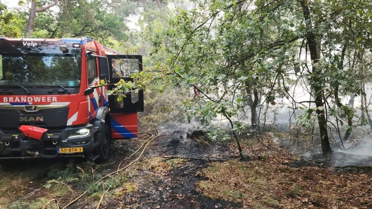 Brandweer Velp en Dieren ingezet bij grote natuurbrand Foto: Brandweer